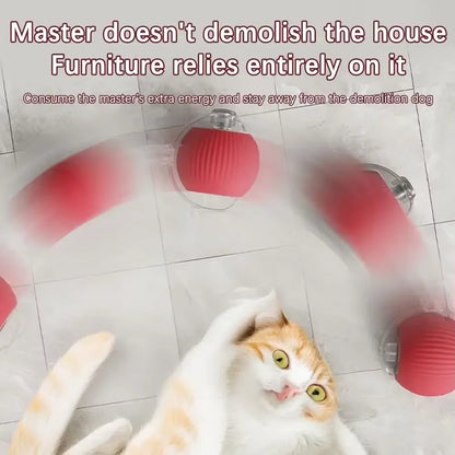 Interactive Toy Cat Toys Interactive Cat Rolling Ball Hyper Drive Accessories for Cats Birdsong Motion Activated Sensor Cat'S