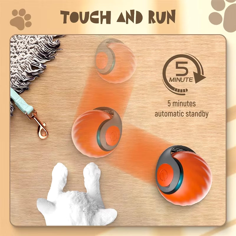 🐾 SPEEDY TAIL 2.0 – Smart Cat Toy, Interactive Electric Rolling Ball 🎉🐱