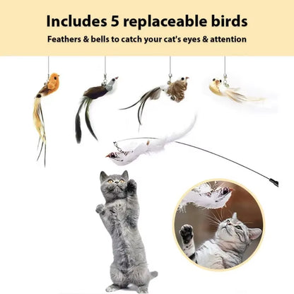 Feathered Cat Wand with Bells Powerful Suction Cup Interactive Toys