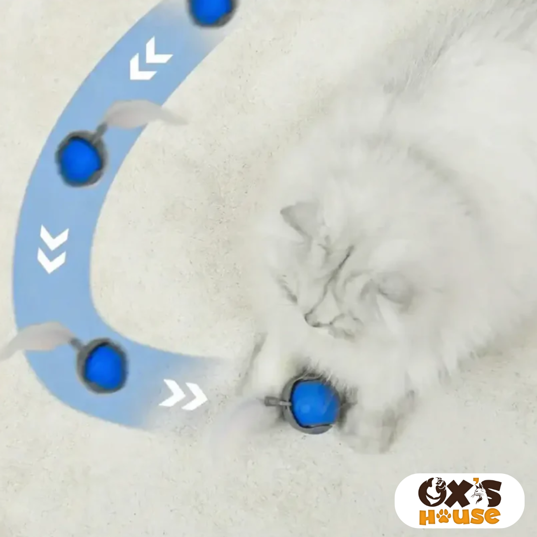 🐾 SPEEDY TAIL 2.0 – Smart Cat Toy, Interactive Electric Rolling Ball 🎉🐱