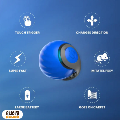 🐾 SPEEDY TAIL 2.0 – Smart Cat Toy, Interactive Electric Rolling Ball 🎉🐱