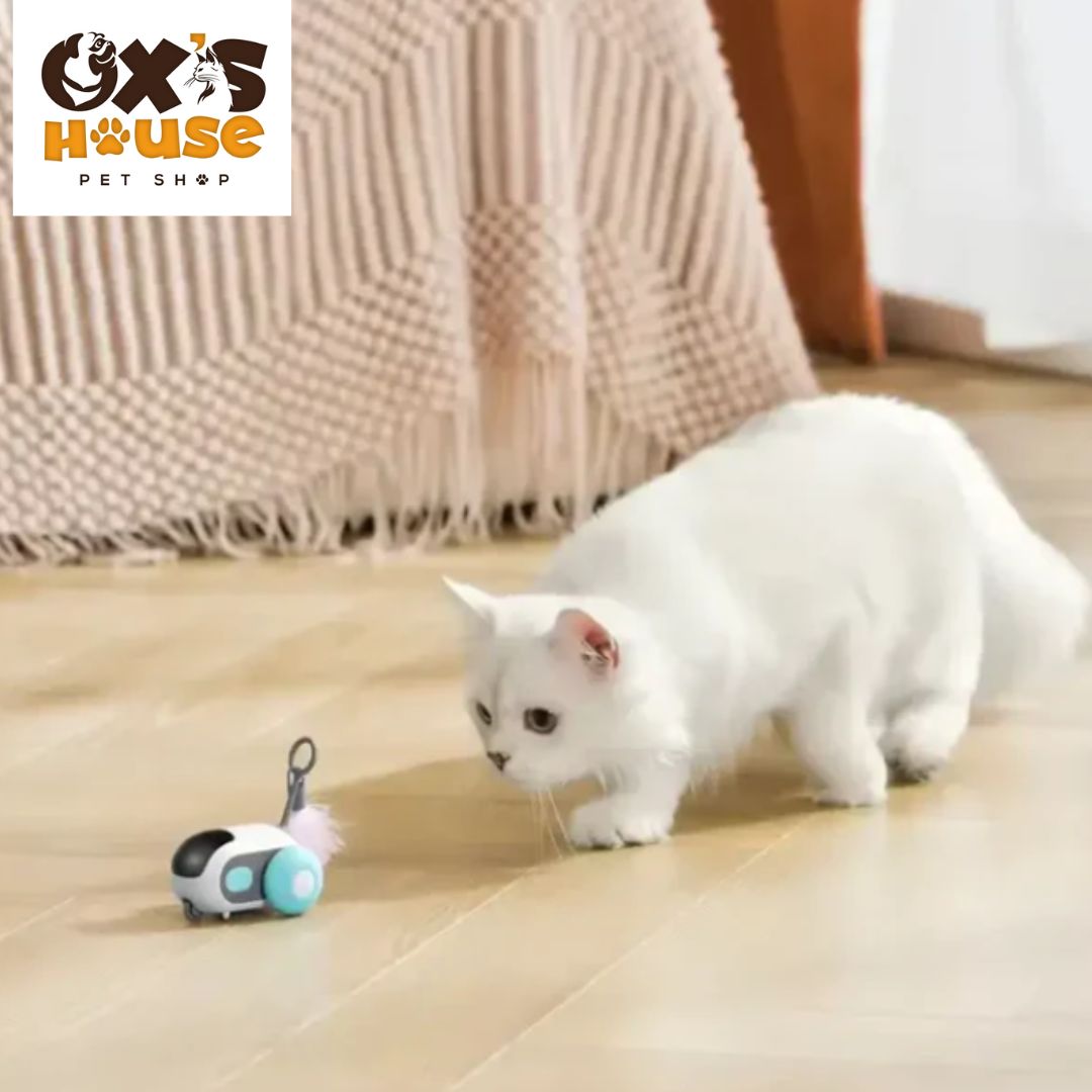 🐾 🚀 Turbo Tail 2.0 – Interactive Remote Control Cat Toy ✨