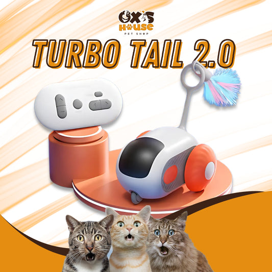 🐾 🚀 Turbo Tail 2.0 – Interactive Remote Control Cat Toy ✨