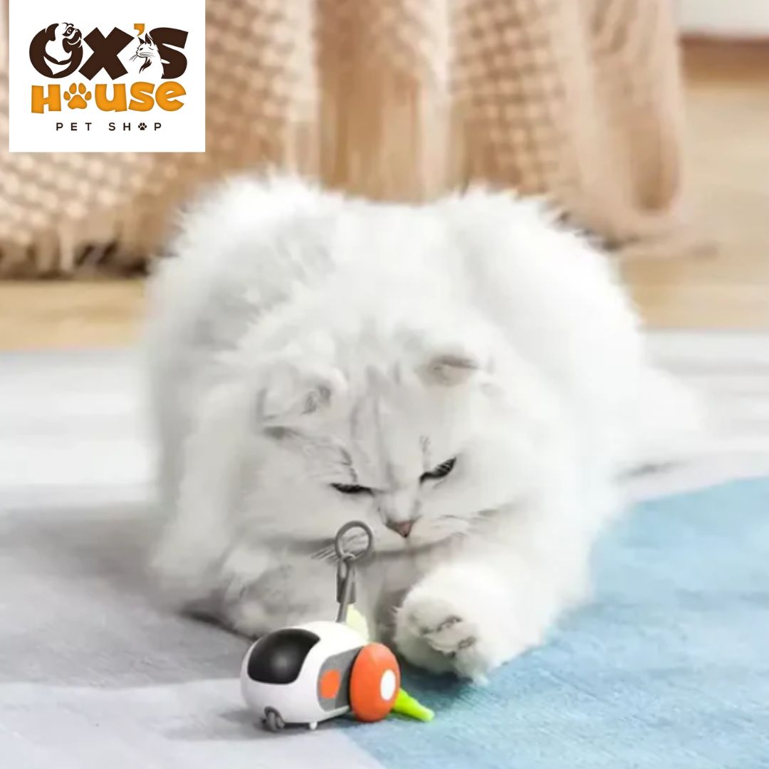 🐾 🚀 Turbo Tail 2.0 – Interactive Remote Control Cat Toy ✨