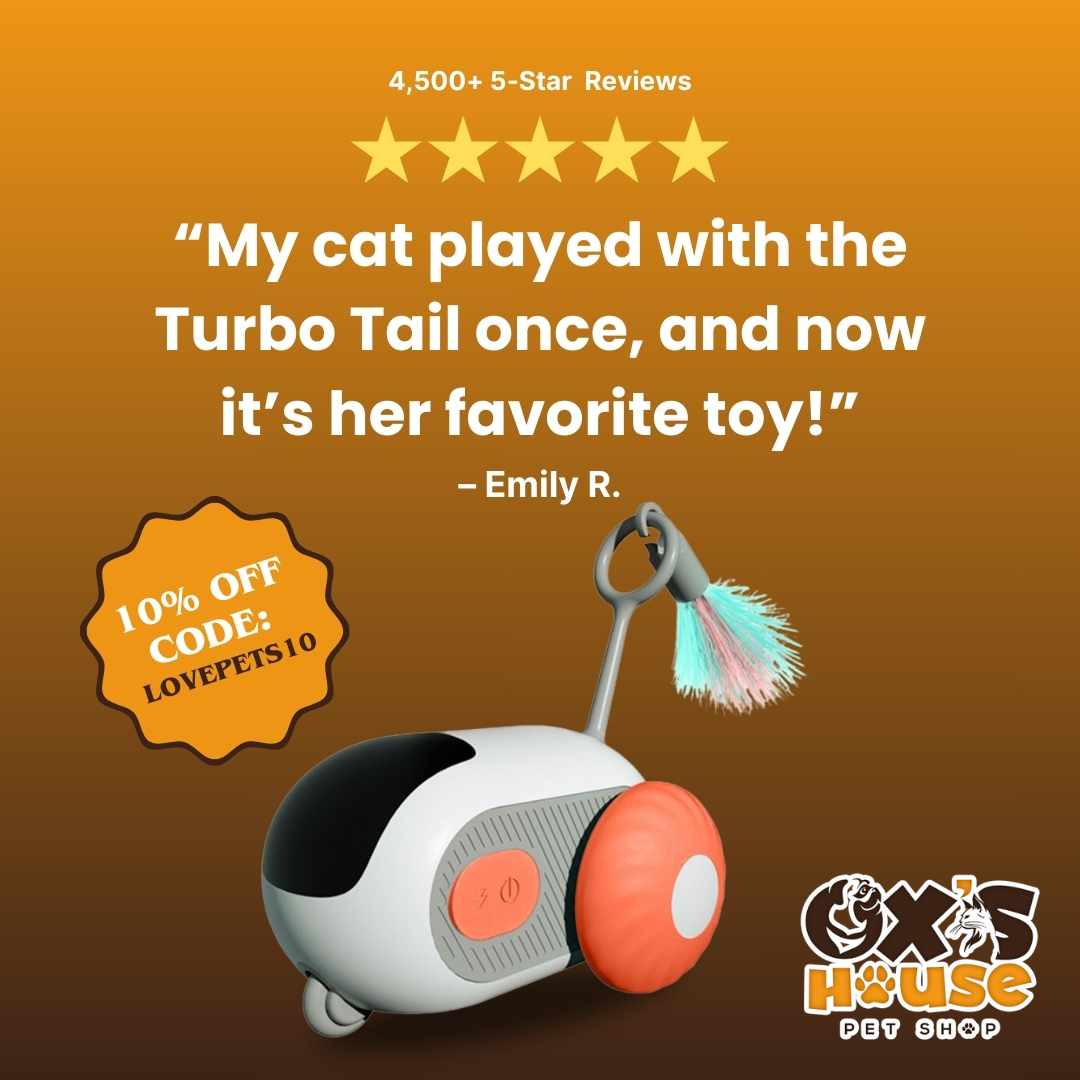 🐾 🚀 Turbo Tail 2.0 – Interactive Remote Control Cat Toy ✨