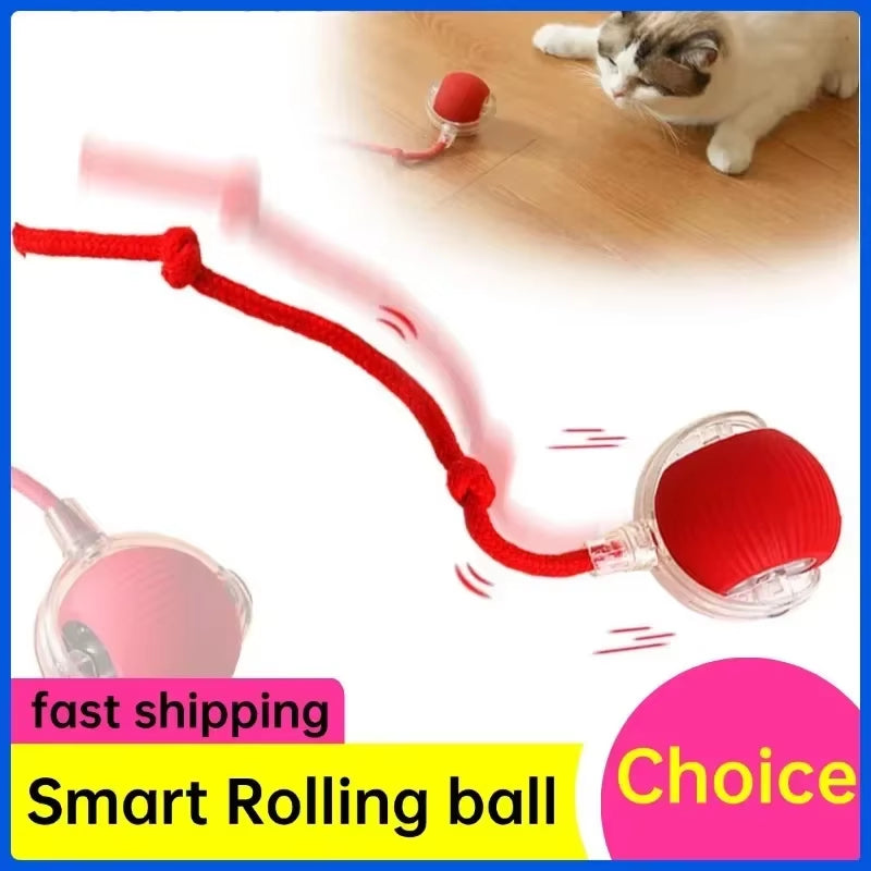 Interactive Toy Cat Toys Interactive Cat Rolling Ball Hyper Drive Accessories for Cats Birdsong Motion Activated Sensor Cat'S