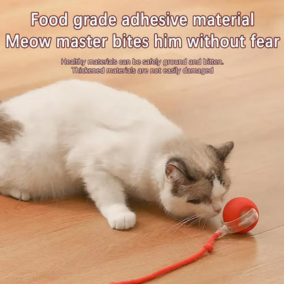 Interactive Toy Cat Toys Interactive Cat Rolling Ball Hyper Drive Accessories for Cats Birdsong Motion Activated Sensor Cat'S