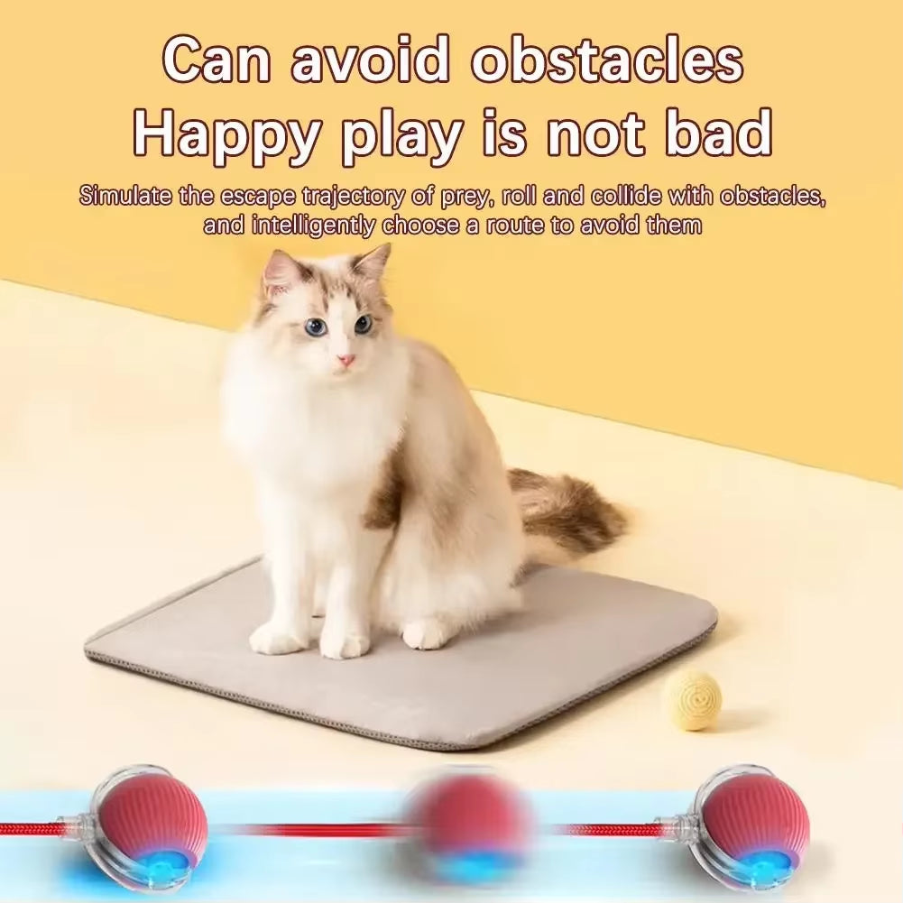 Interactive Toy Cat Toys Interactive Cat Rolling Ball Hyper Drive Accessories for Cats Birdsong Motion Activated Sensor Cat'S