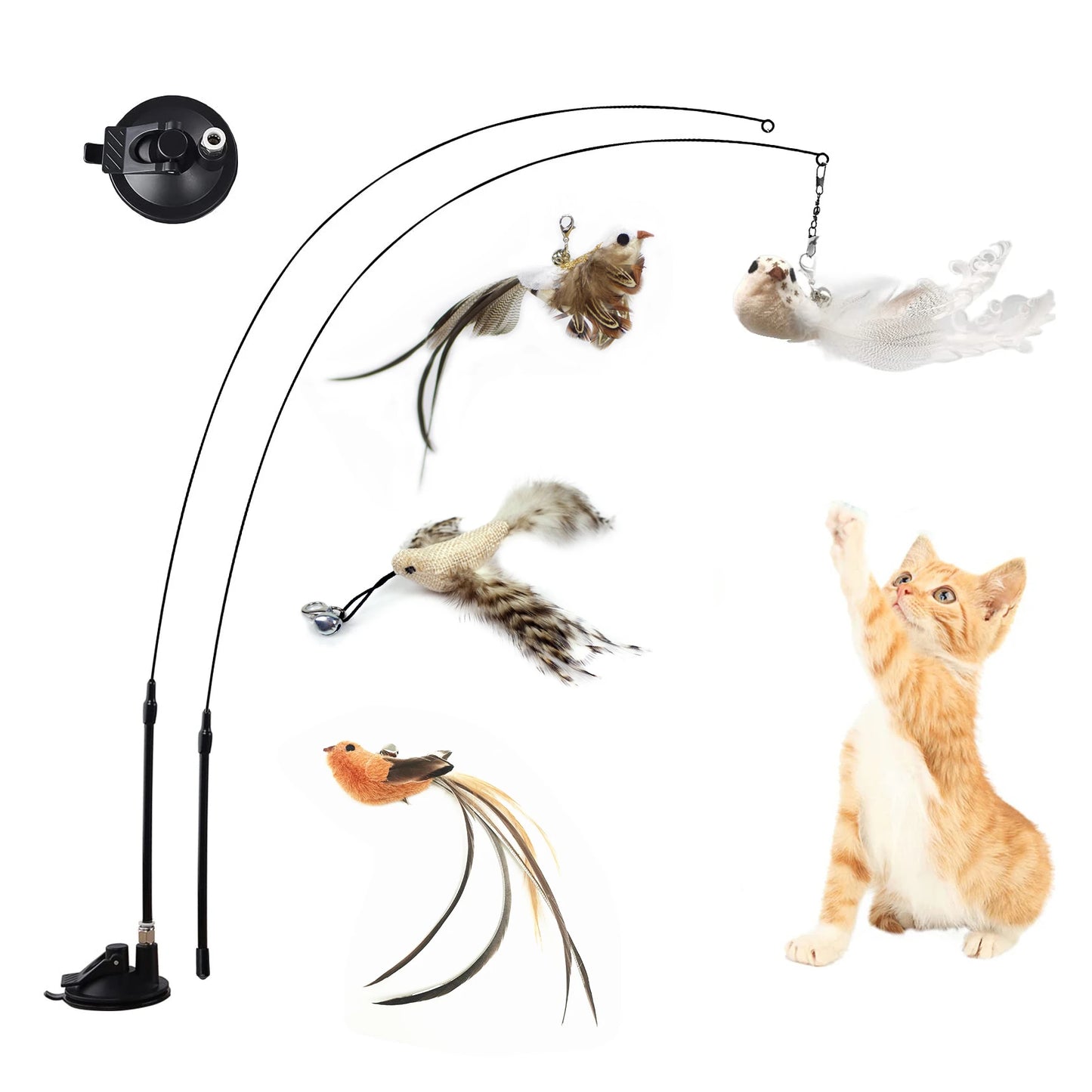 Simulation Bird Interactive Cat Teaser Toy with Suction Cup Funny Feather Bird for Kitten Play Chase Exercise Cat Toy Supplies