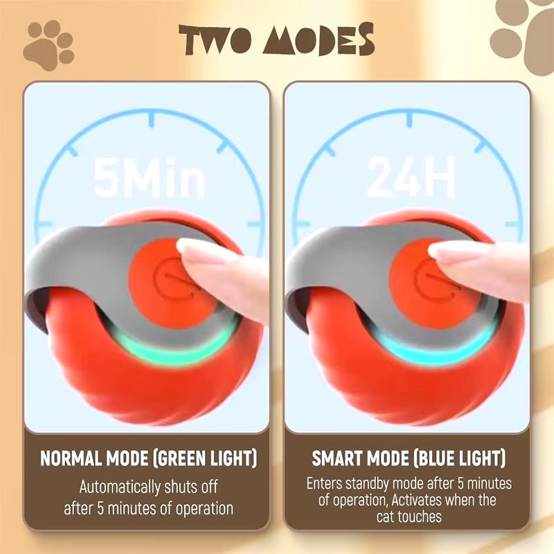 🐾 SPEEDY TAIL 2.0 – Smart Cat Toy, Interactive Electric Rolling Ball 🎉🐱